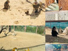 -济南野生动物世界