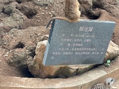 -石家庄市动物园