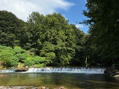 -广州市石门国家森林公园