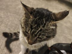 -味友·厦门味(集美店)