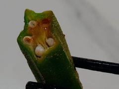 -清心素食自助餐厅(夫子庙店)