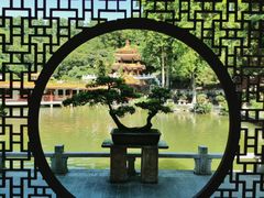 -深圳仙湖植物园
