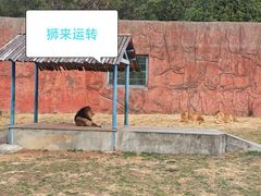 -无锡动物园·太湖欢乐园