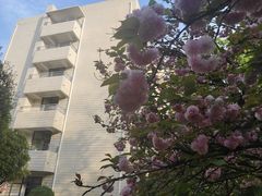 -西南林业大学(白龙校区)