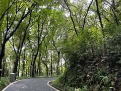 -广州雕塑公园