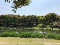-美兰湖景区