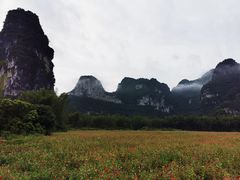 -明仕田园