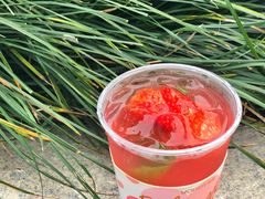 -YO!TEA有茶(科兴科学园店)