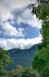 -比华利美容医院