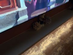 -霖公馆SPA·足道(普善路店)