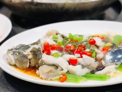-飞尝蚝·顺德菜·鱼生(顺德总店)