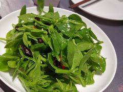 炝拌田七苗-徐记海鲜(曲江南湖店)