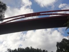 -金鸡山公园