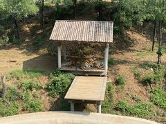 -石家庄市动物园