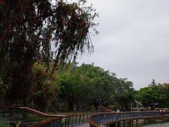 -四海公园(南山区)