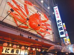 -蟹道乐(道顿堀本店)