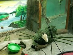 -青藏高原野生动物园