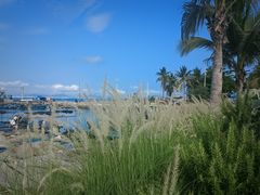 -三亚西岛海洋文化旅游区
