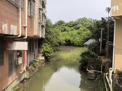 -小洲村