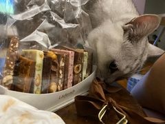 -Laderach 莱德拉(上海环贸iapm店)