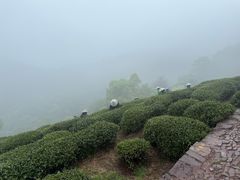 -十里琅珰