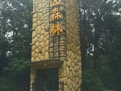 android_upload_pic-象山森林公园