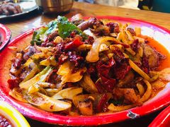 -柴窝堡22号辣子鸡·传承新疆菜