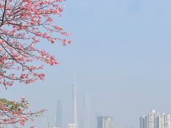 -海珠湖公园