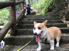 -藏龙百瀑风景区