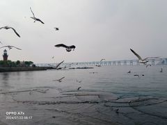 -星海广场