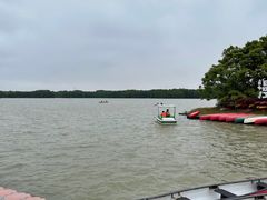 -上海海湾国家森林公园