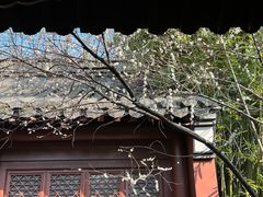 -钱王祠