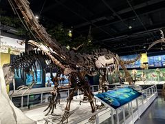 -国家自然博物馆