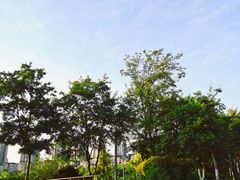 -金海湾滨江公园