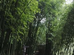 -四洞沟景区