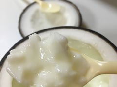 -志龙皇冠吃货椰子铺