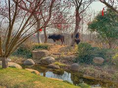 -茅山东方盐湖城景区