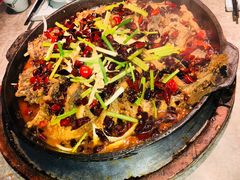 -老板恋上鱼(恒隆广场店)