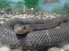 -石家庄市动物园