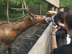 -溱湖国家湿地公园