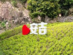 -浙北大峡谷