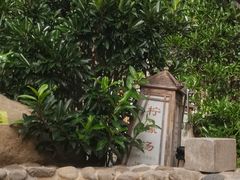 -观唐（国际）度假村温泉