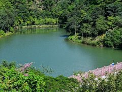 -广州白江湖森林公园