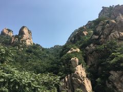 -大岭沟猕猴桃谷风景区