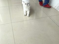 -菲尔斯特宠物医院