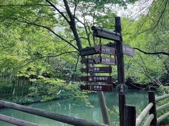 -乌村