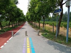 -上海长兴岛郊野公园