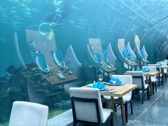 -涛·海底餐厅·美人鱼·自助餐·海底隧道(三亚海棠湾洲际度假酒店)