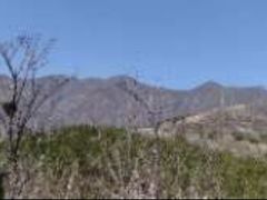 -白水寺森林公园