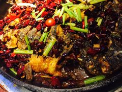 -老板恋上鱼(恒隆广场店)